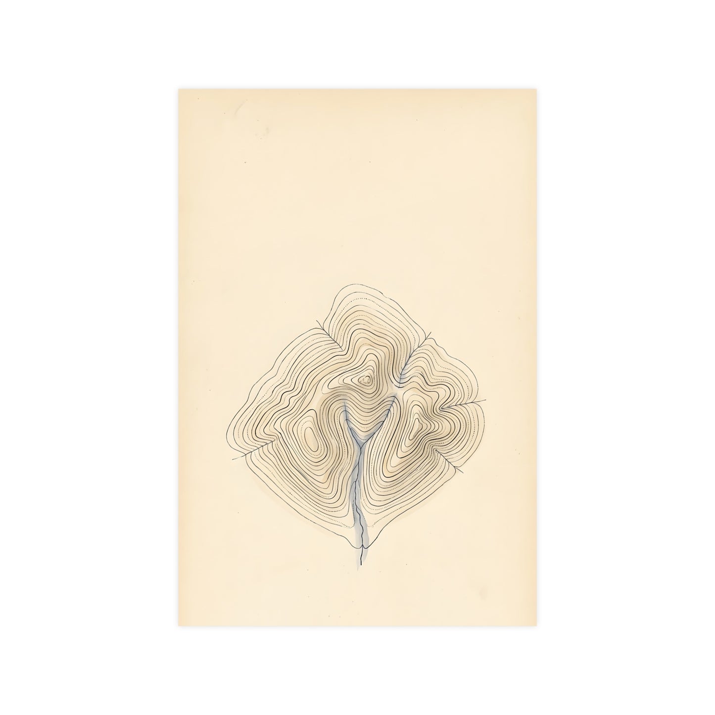 Contour Lines — contour lines, 12x16 in print