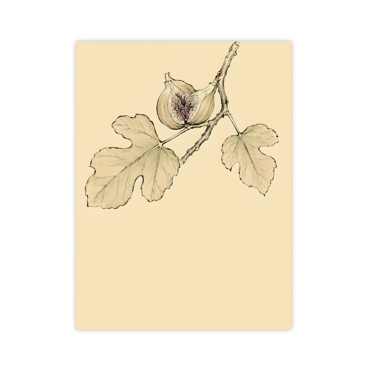 Fig, Split — fig, split, 12x16 in print