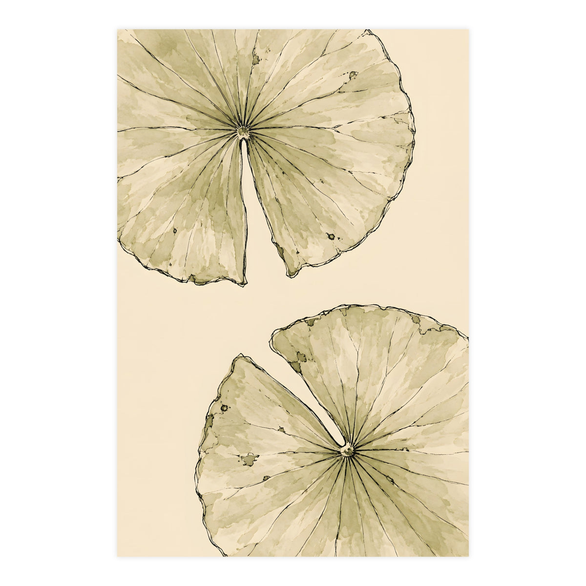 Lily Pads from Above — lily pads from above, 24x36 in print