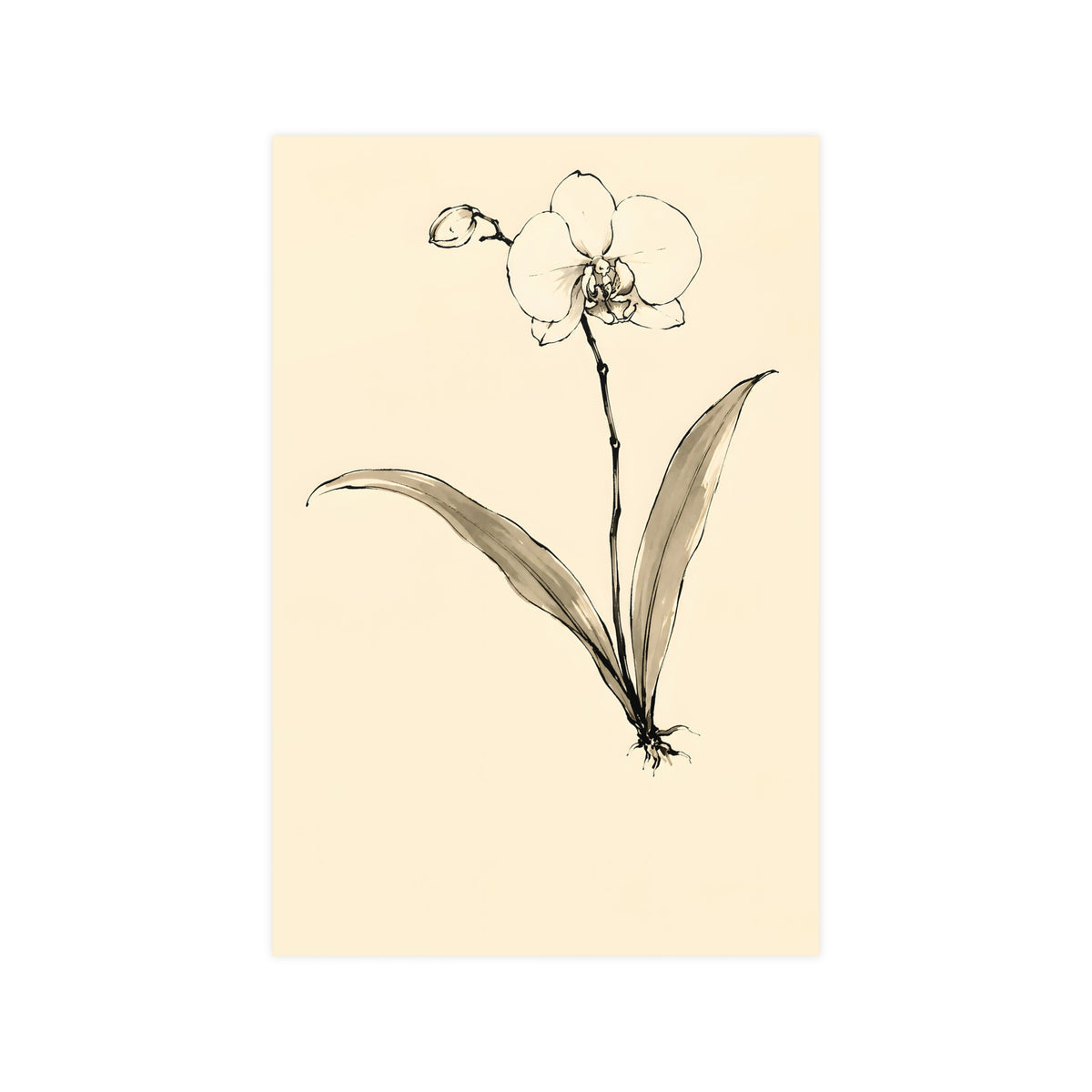 Orchid — orchid, 12x18 in print