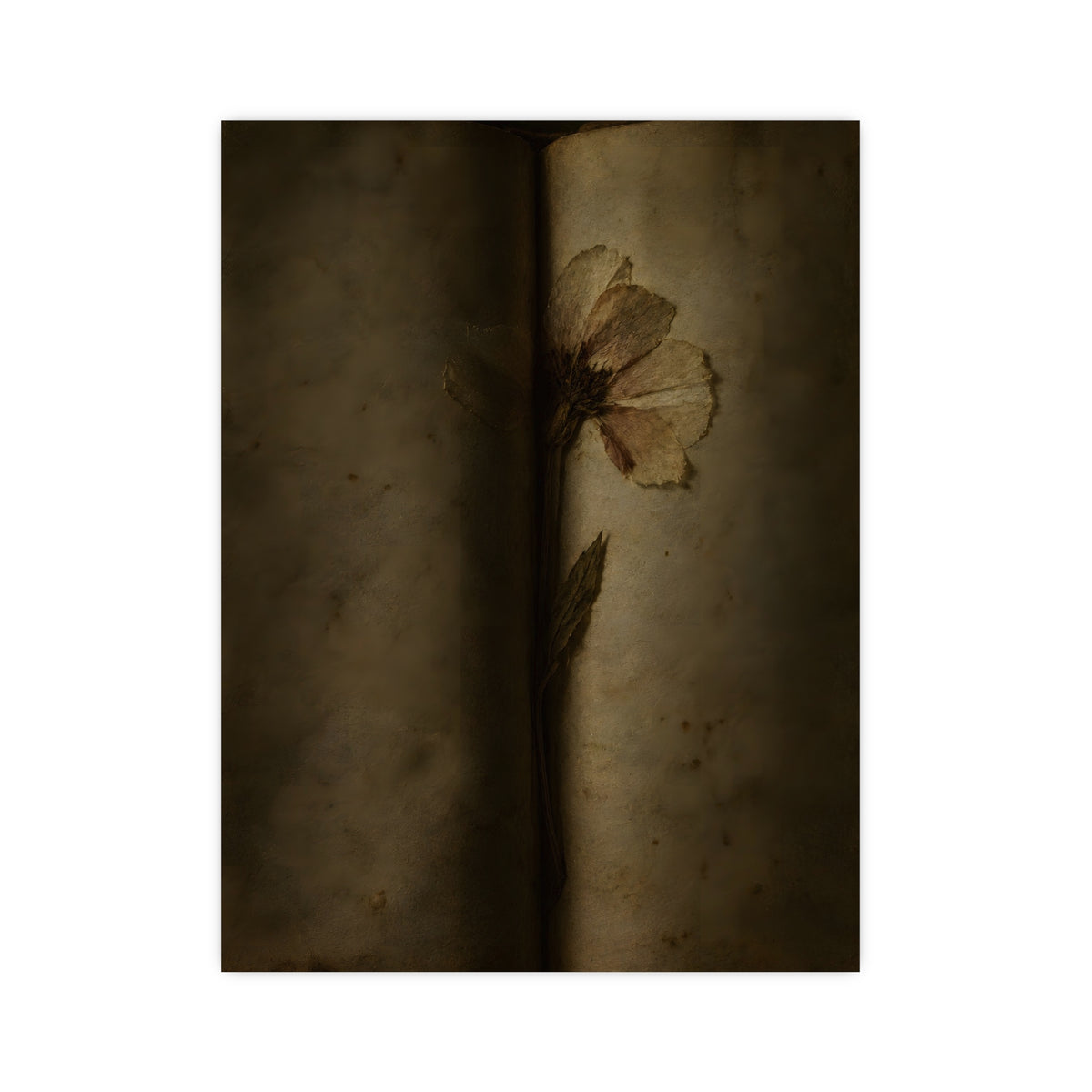 Pressed Flat — pressed flat, 12x16 in print