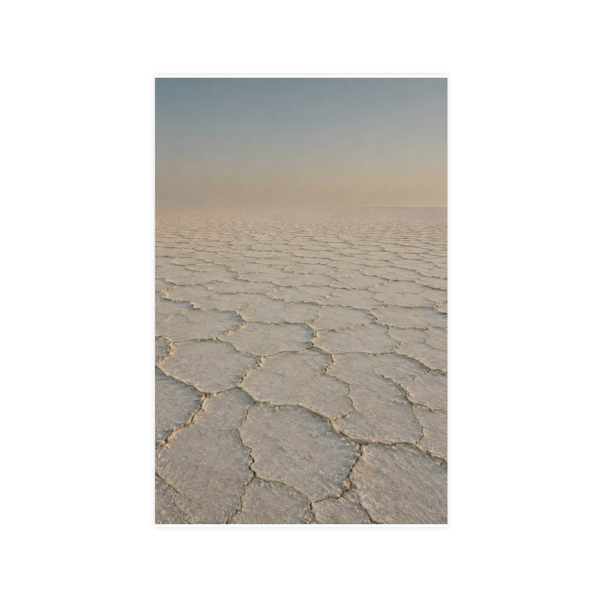 Salt Crust — salt crust, 11x17 in print