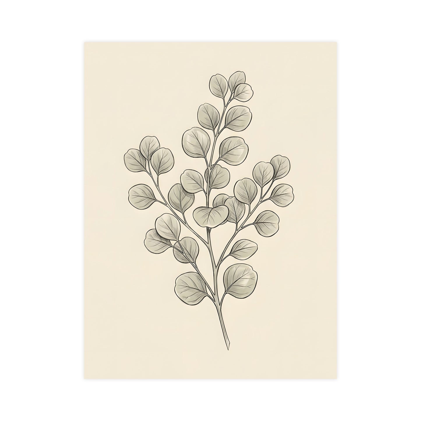 Eucalyptus — eucalyptus, 12x18 in print