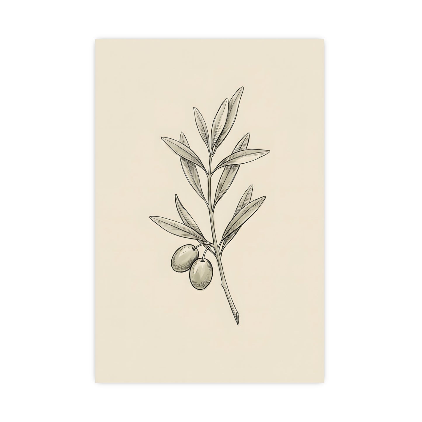 Olive Branch — olive branch, 20x30 in print