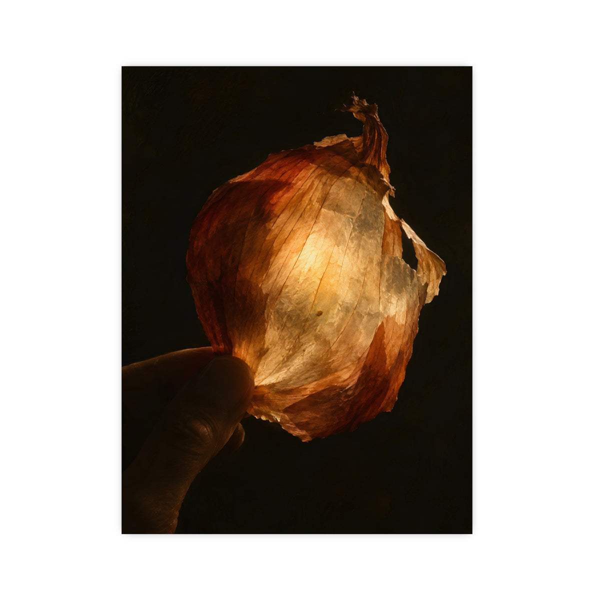 Through the Onion Skin — through the onion skin, 12x16 in print