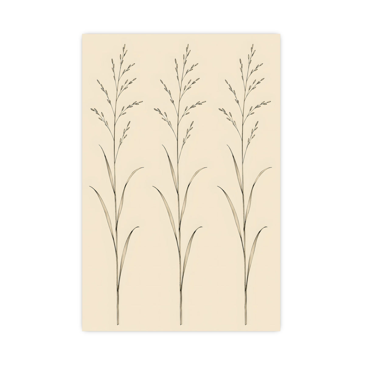 Three Stems — three stems, 16x24 in print