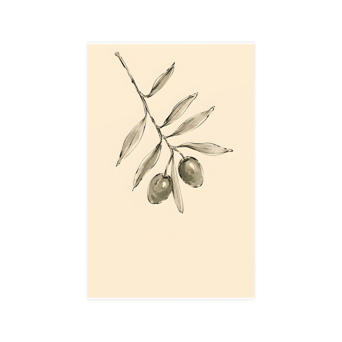 Olive Branch — olive branch, 11x17 in print