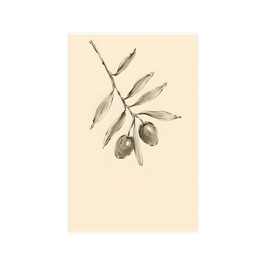 Olive Branch — olive branch, 11x17 in print