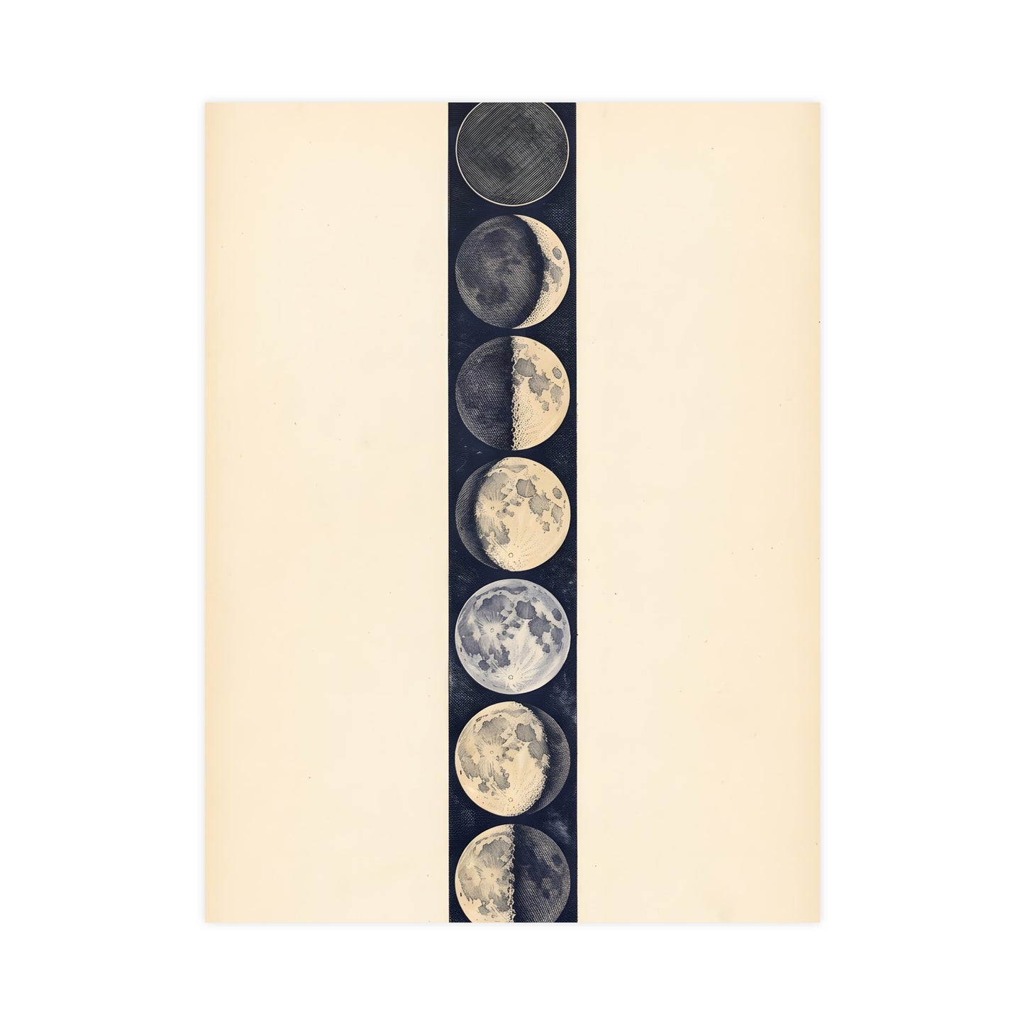 Phases of the Moon — phases of the moon, 12x18 in print
