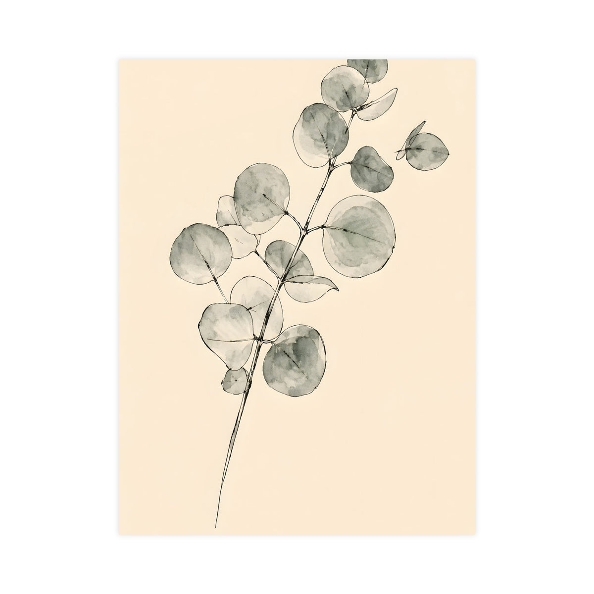 Eucalyptus — eucalyptus, 18x24 in print