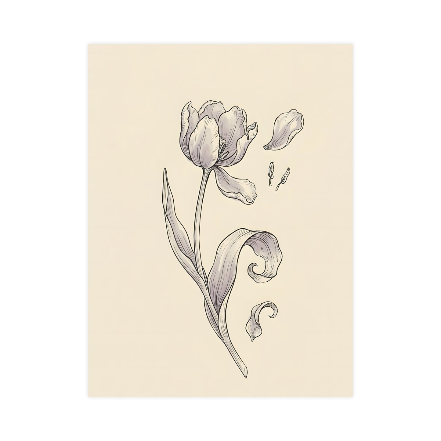 Tulip, Just Past — tulip, just past, 12x18 in print