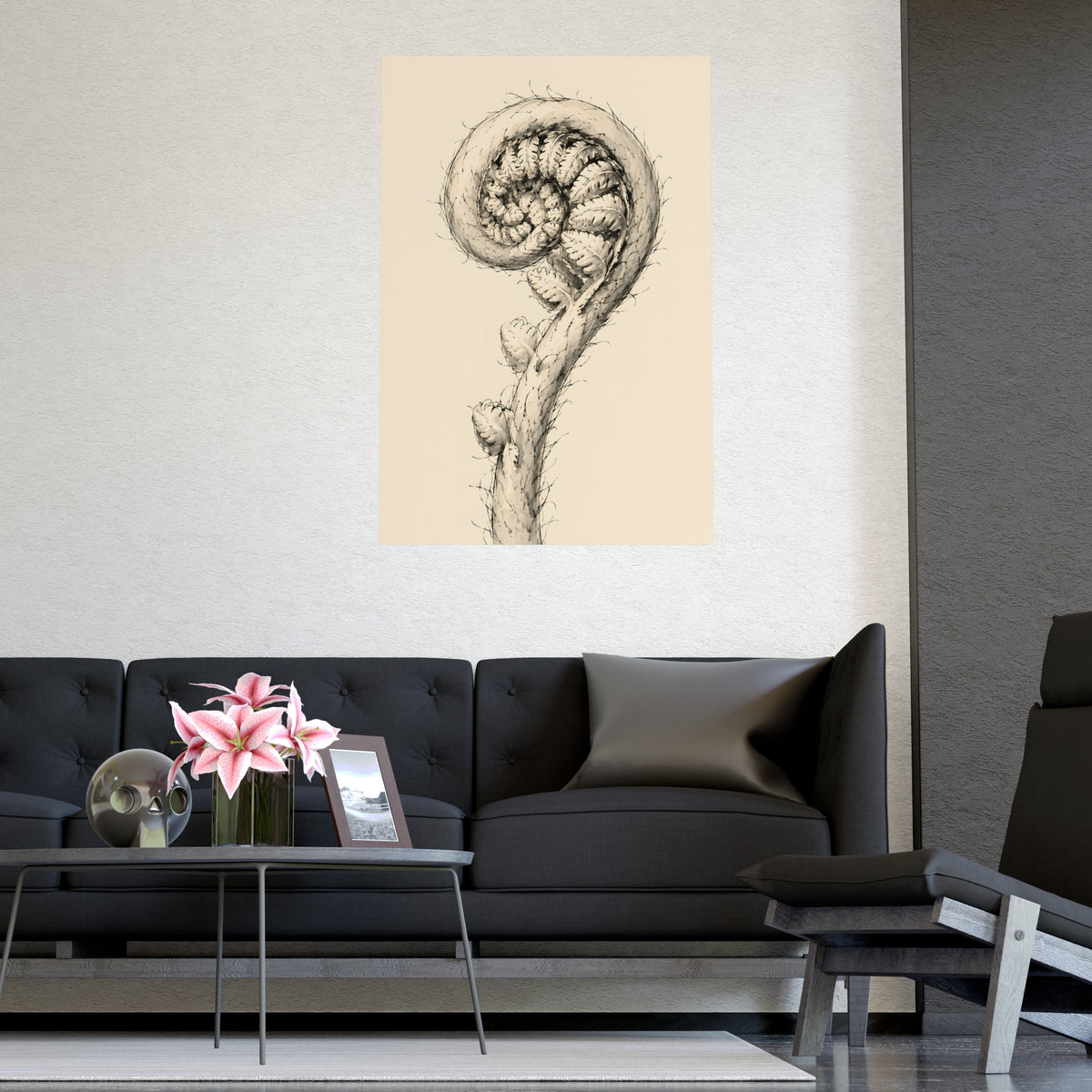 Fern, Still Curled — fern, still curled, shown framed on a wall