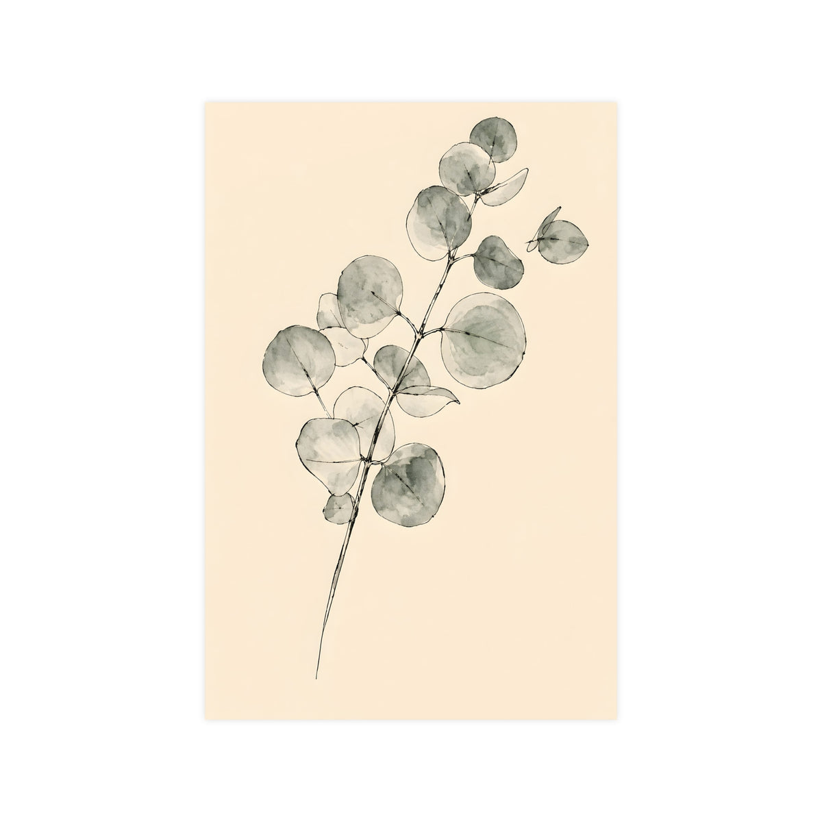Eucalyptus — eucalyptus, 12x18 in print