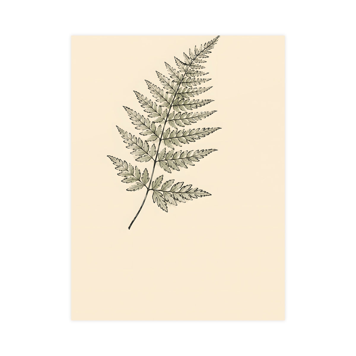 Fern Frond — fern frond, 18x24 in print