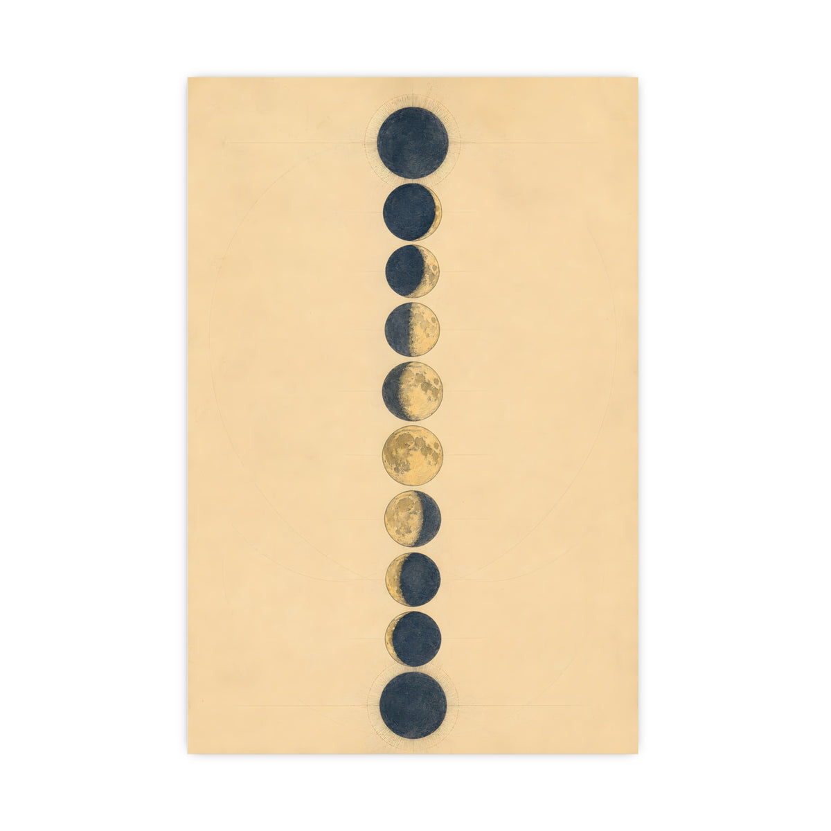 Phases of the Moon — phases of the moon, 20x30 in print