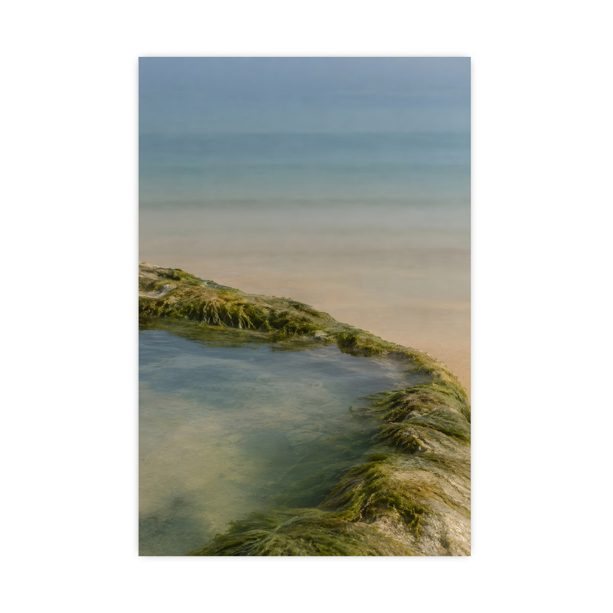 The Rock Pool's Rim — the rock pool's rim, 20x30 in print