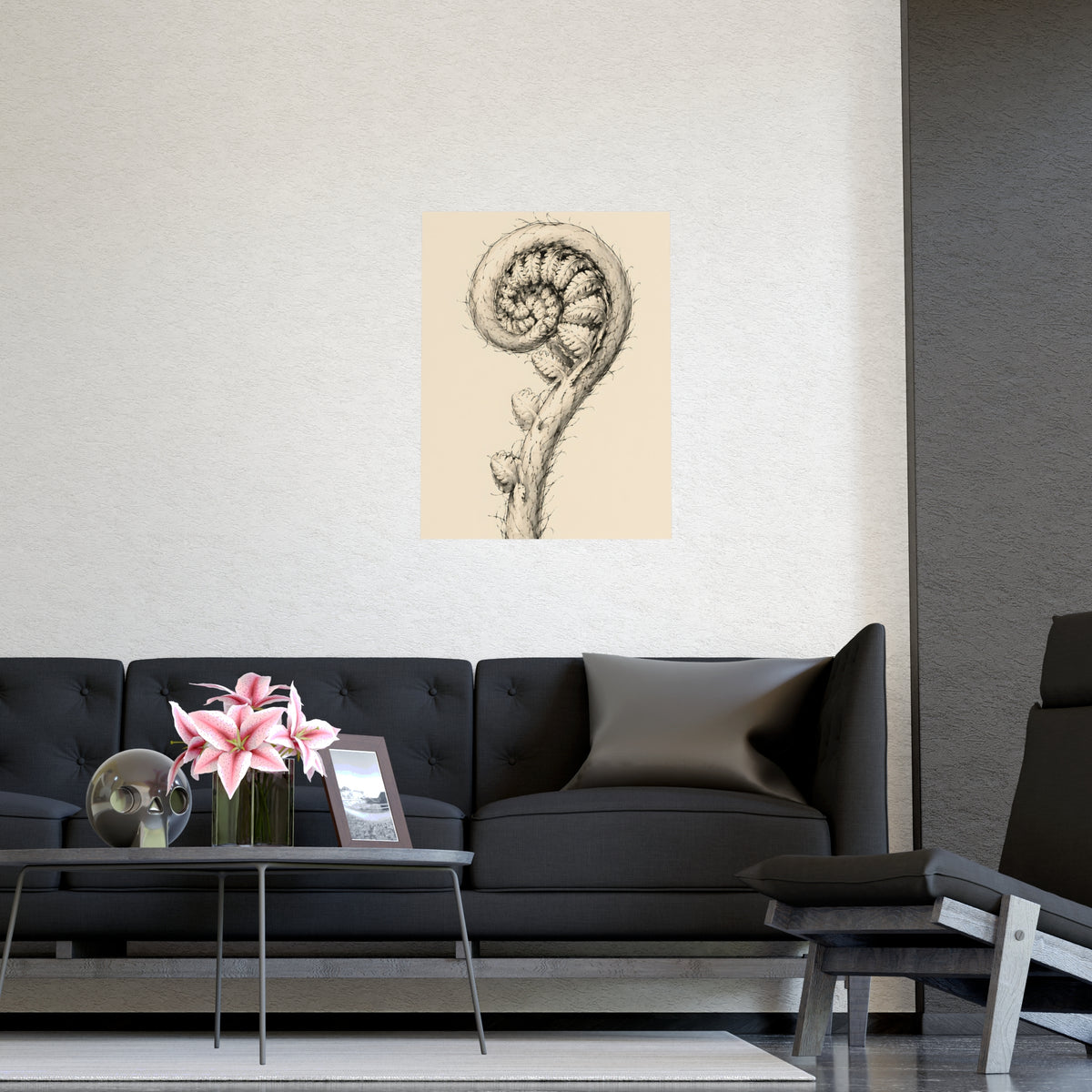 Fern, Still Curled — fern, still curled, shown framed on a wall