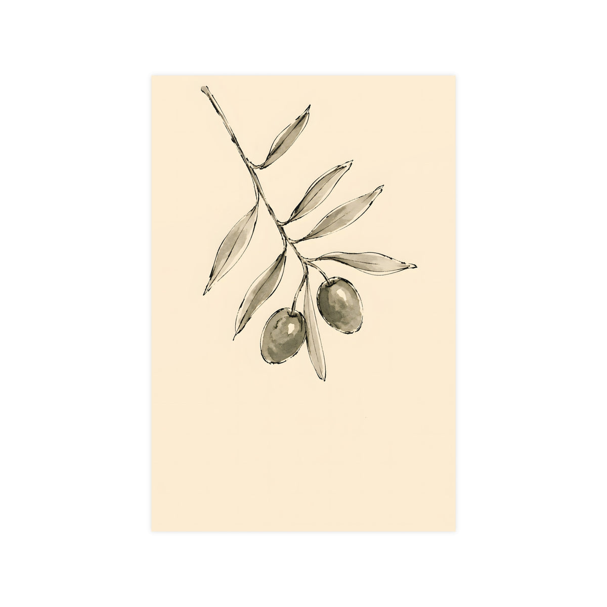 Olive Branch — olive branch, 12x18 in print
