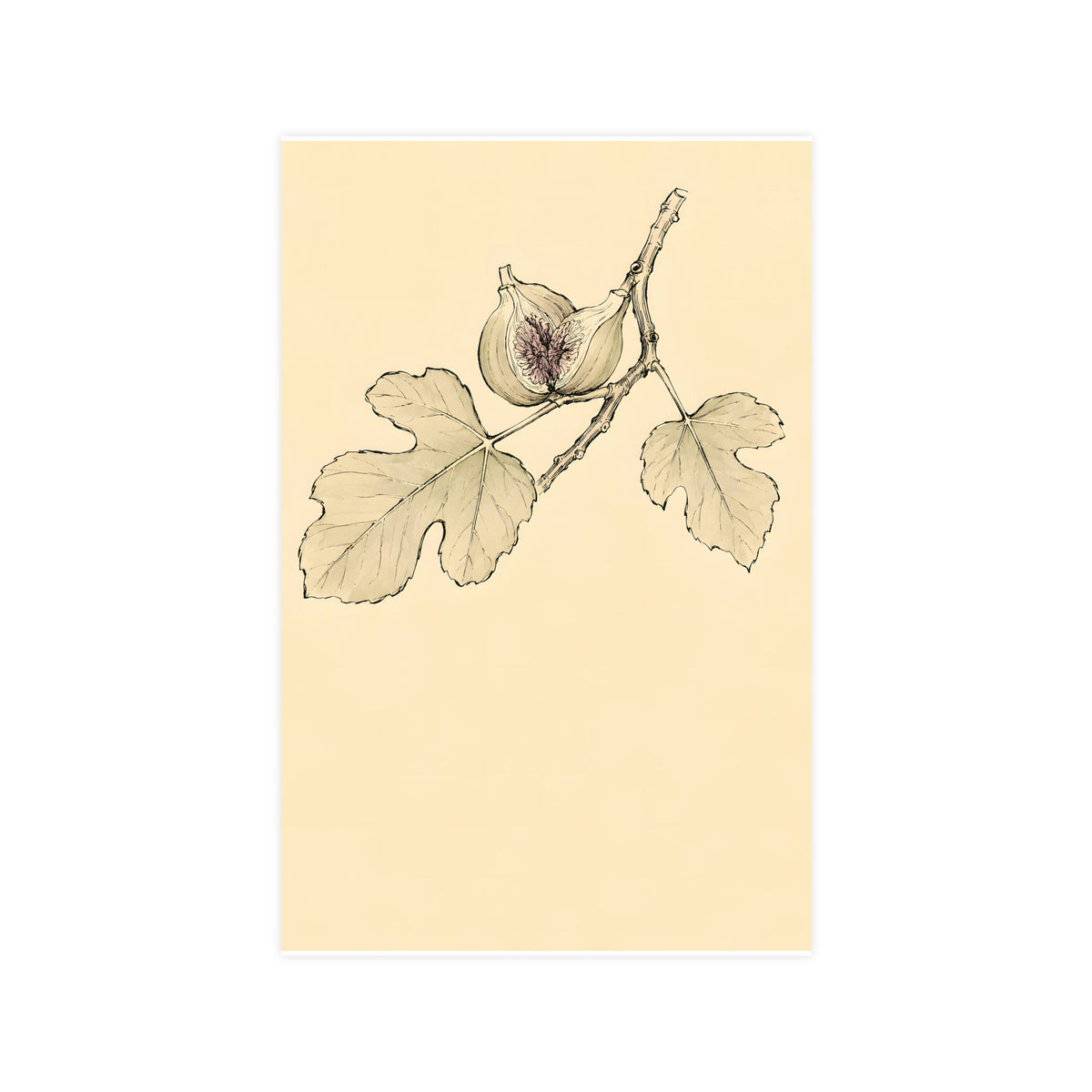 Fig, Split — fig, split, 11x17 in print