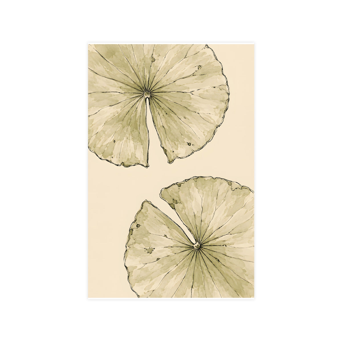 Lily Pads from Above — lily pads from above, 11x17 in print