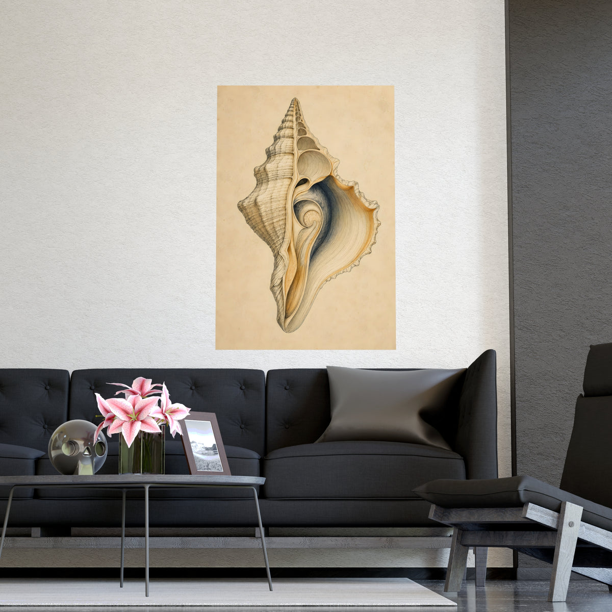 Conch Shell — conch shell, shown framed on a wall