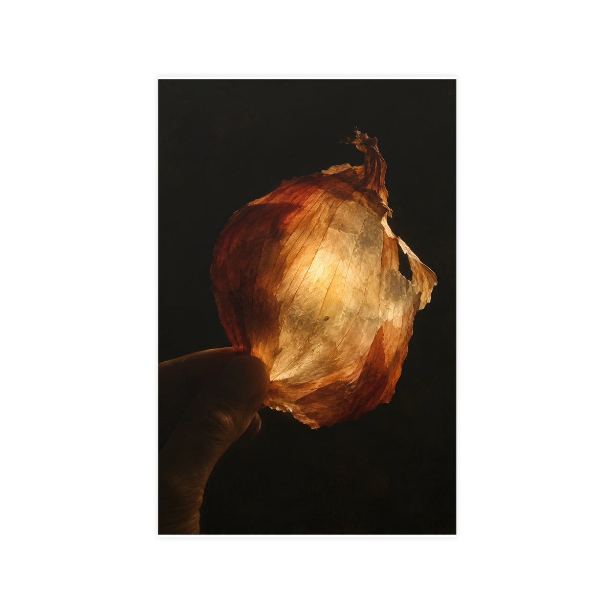 Through the Onion Skin — through the onion skin, 11x17 in print