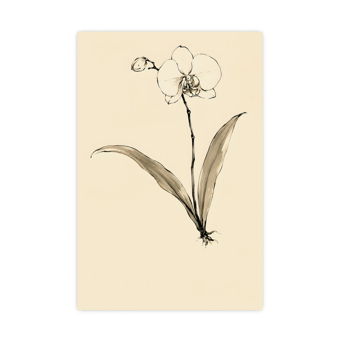 Orchid — orchid, 20x30 in print