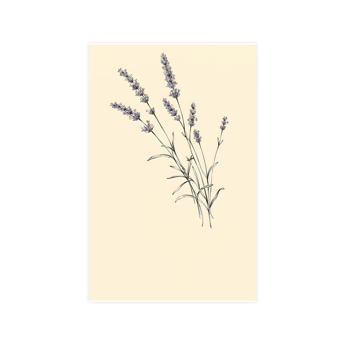 Lavender Sprig — lavender sprig, 11x17 in print