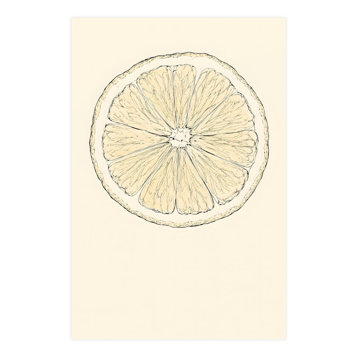 Citrus, Halved — citrus, halved, 24x36 in print