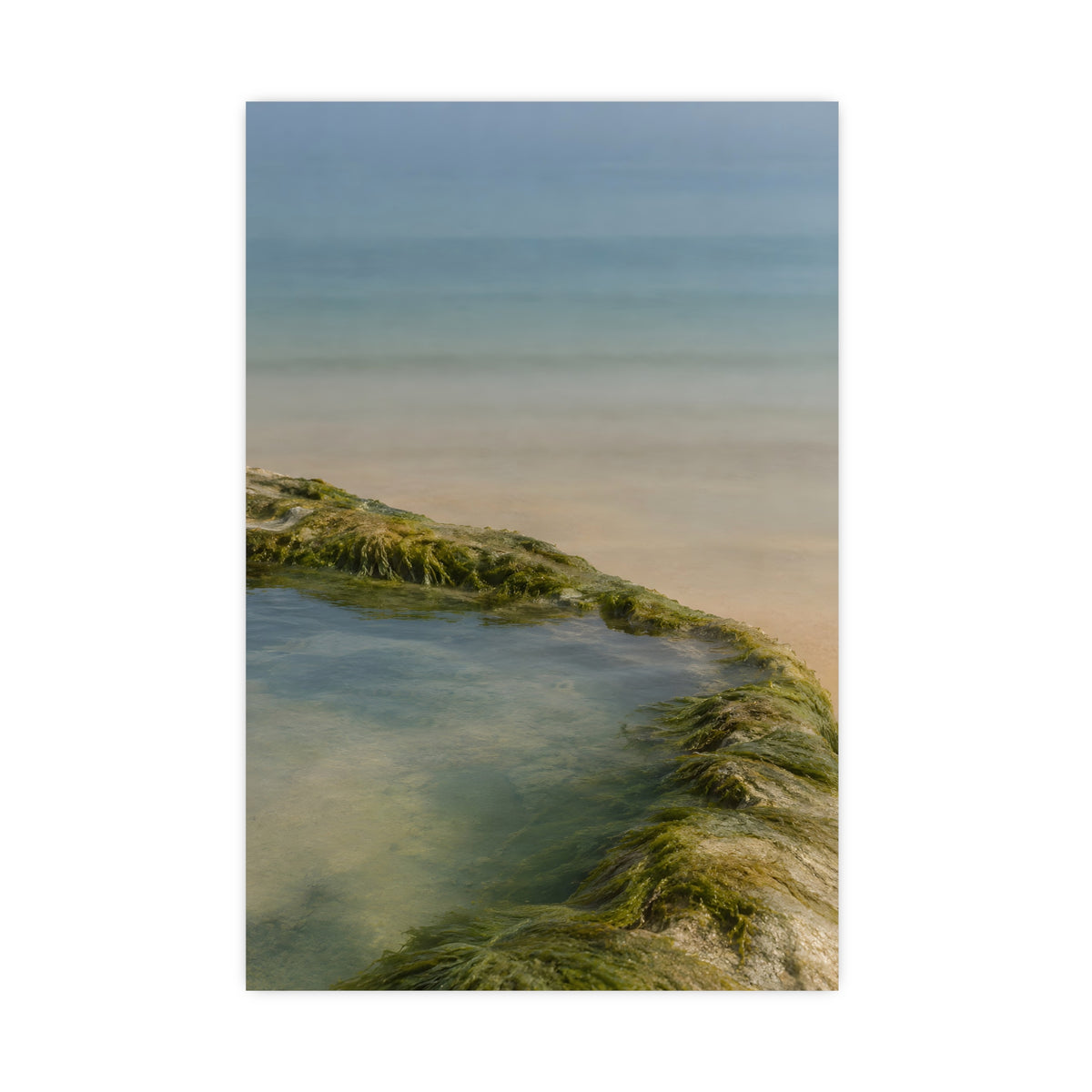 The Rock Pool's Rim — the rock pool's rim, 16x24 in print