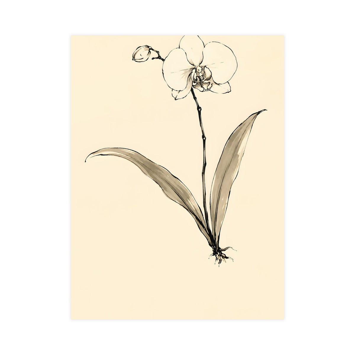 Orchid — orchid, 18x24 in print