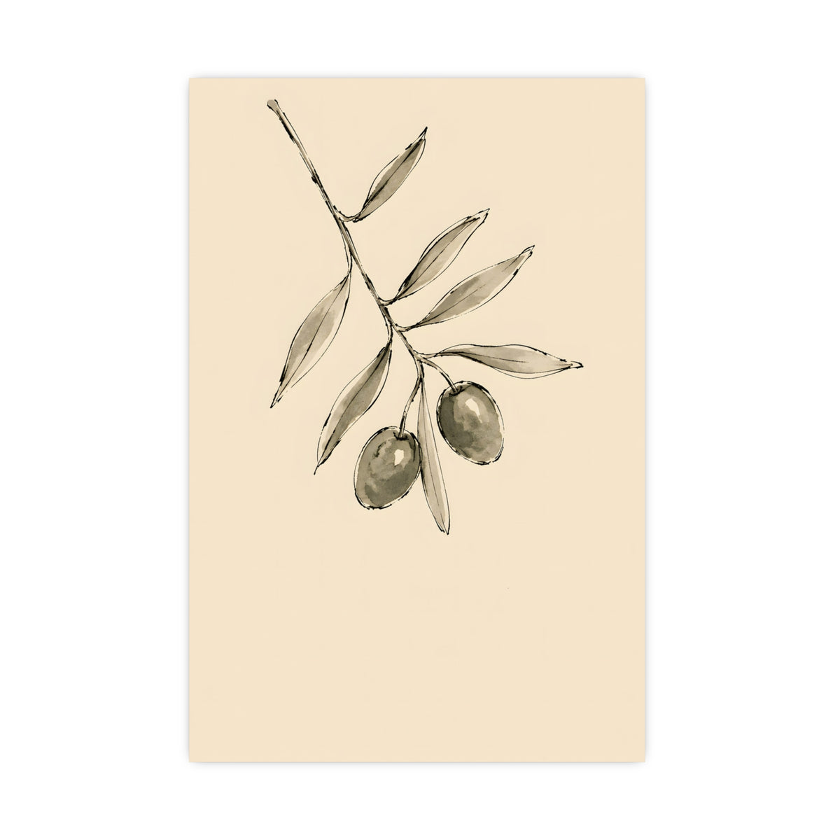 Olive Branch — olive branch, 16x24 in print