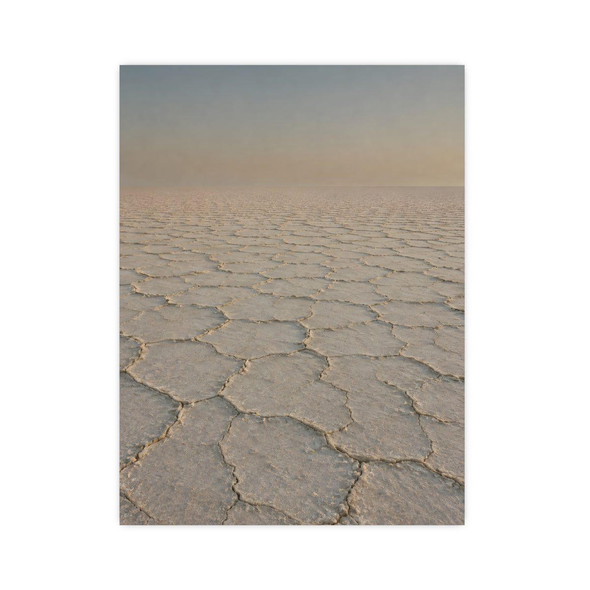 Salt Crust — salt crust, 12x16 in print