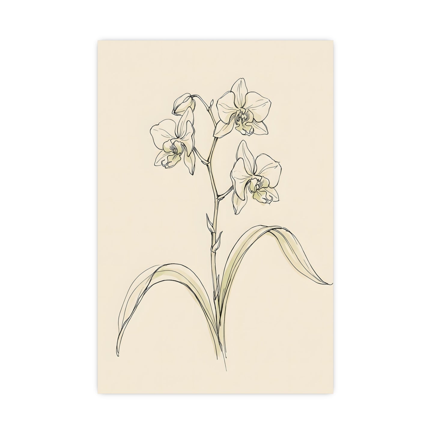 Orchid — orchid, 18x24 in print