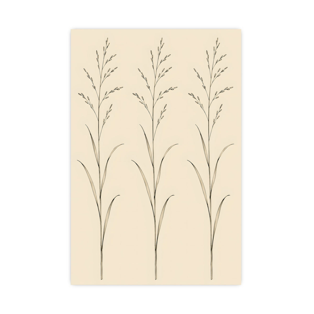 Three Stems — three stems, 20x30 in print