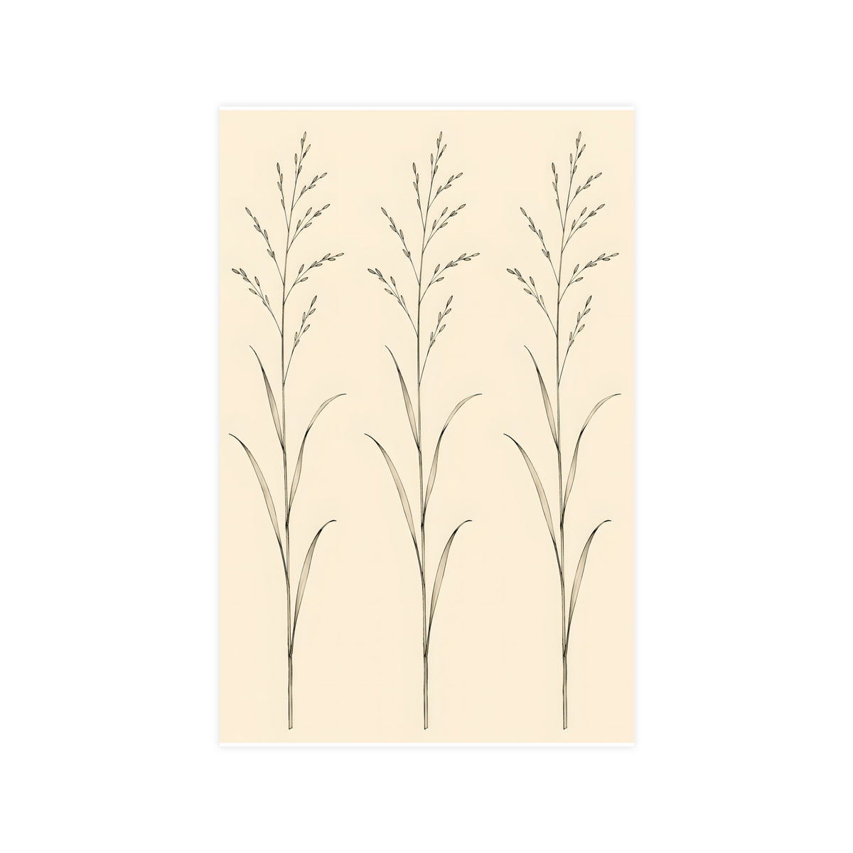 Three Stems — three stems, 11x17 in print