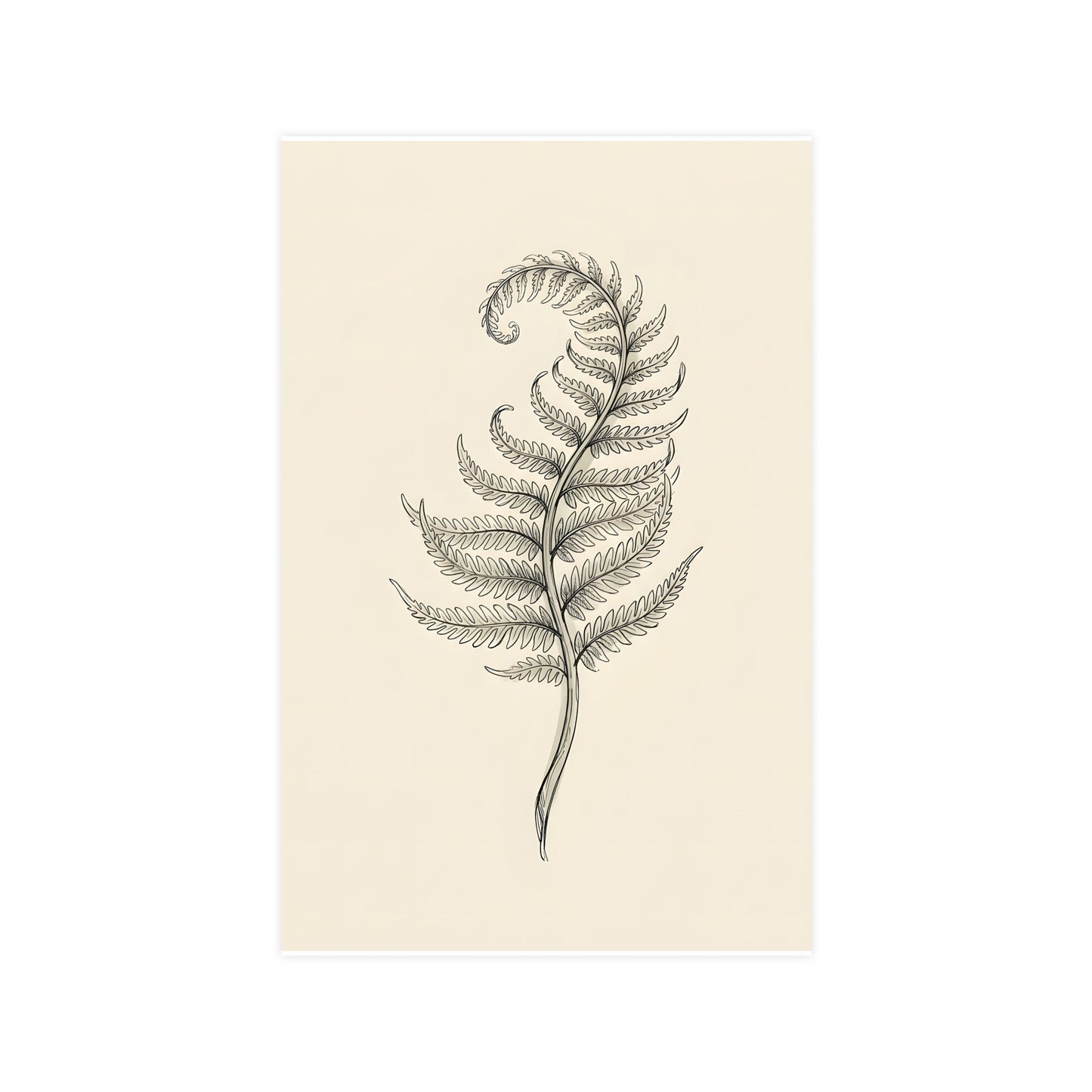 Fern Frond — fern frond, 11x17 in print