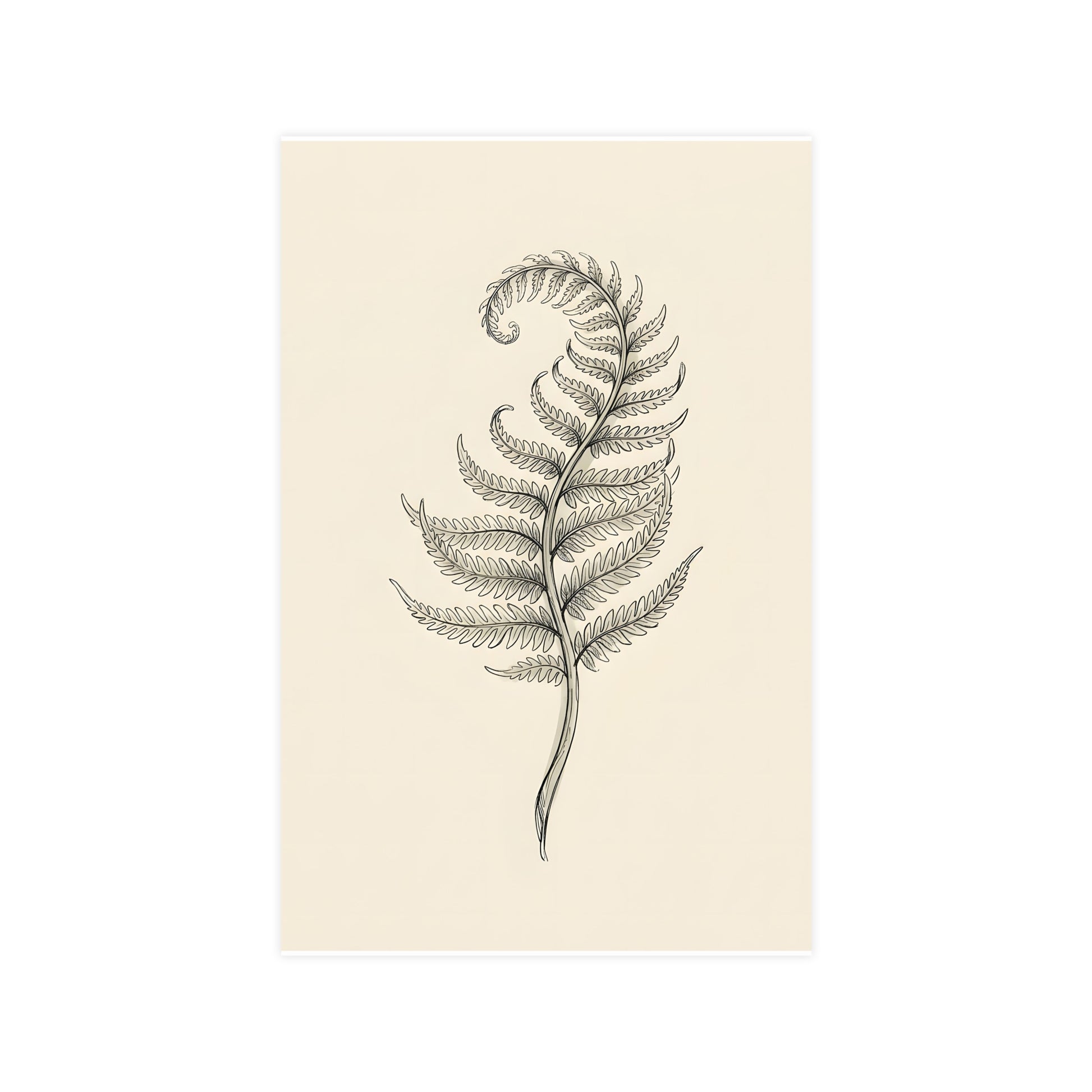 Fern Frond — fern frond, 11x17 in print