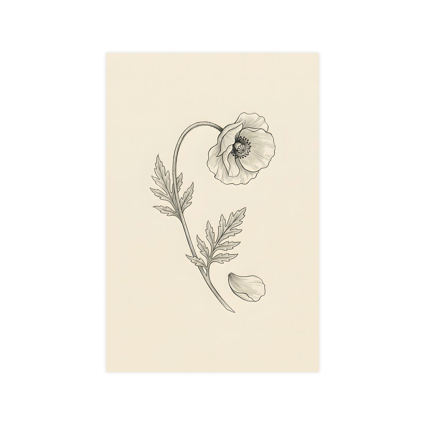 Wild Poppy — wild poppy, 12x16 in print
