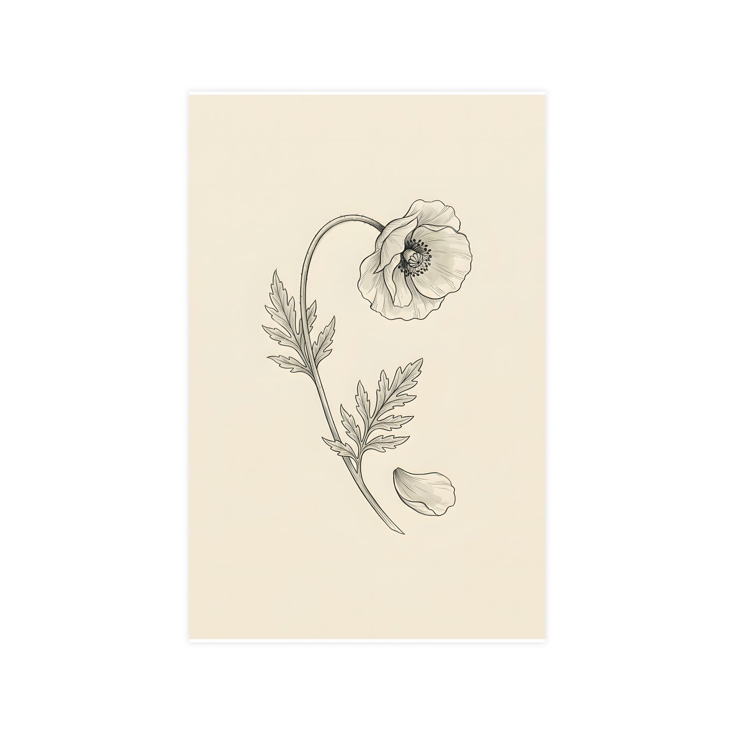 Wild Poppy — wild poppy, 11x17 in print