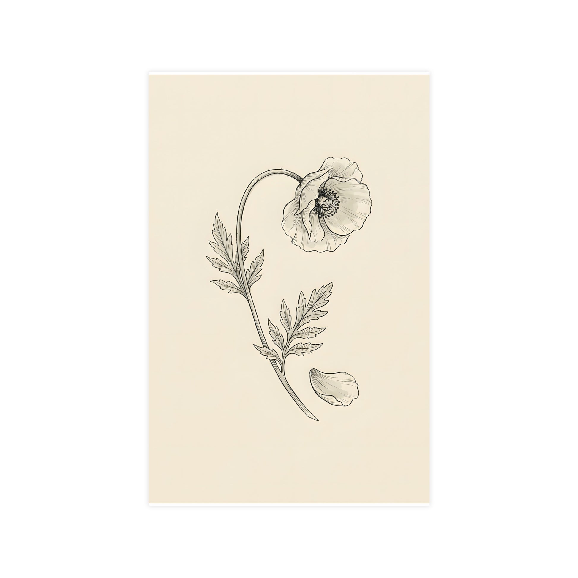 Wild Poppy — wild poppy, 11x17 in print