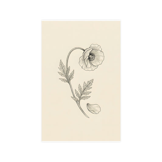 Wild Poppy — wild poppy, 11x17 in print