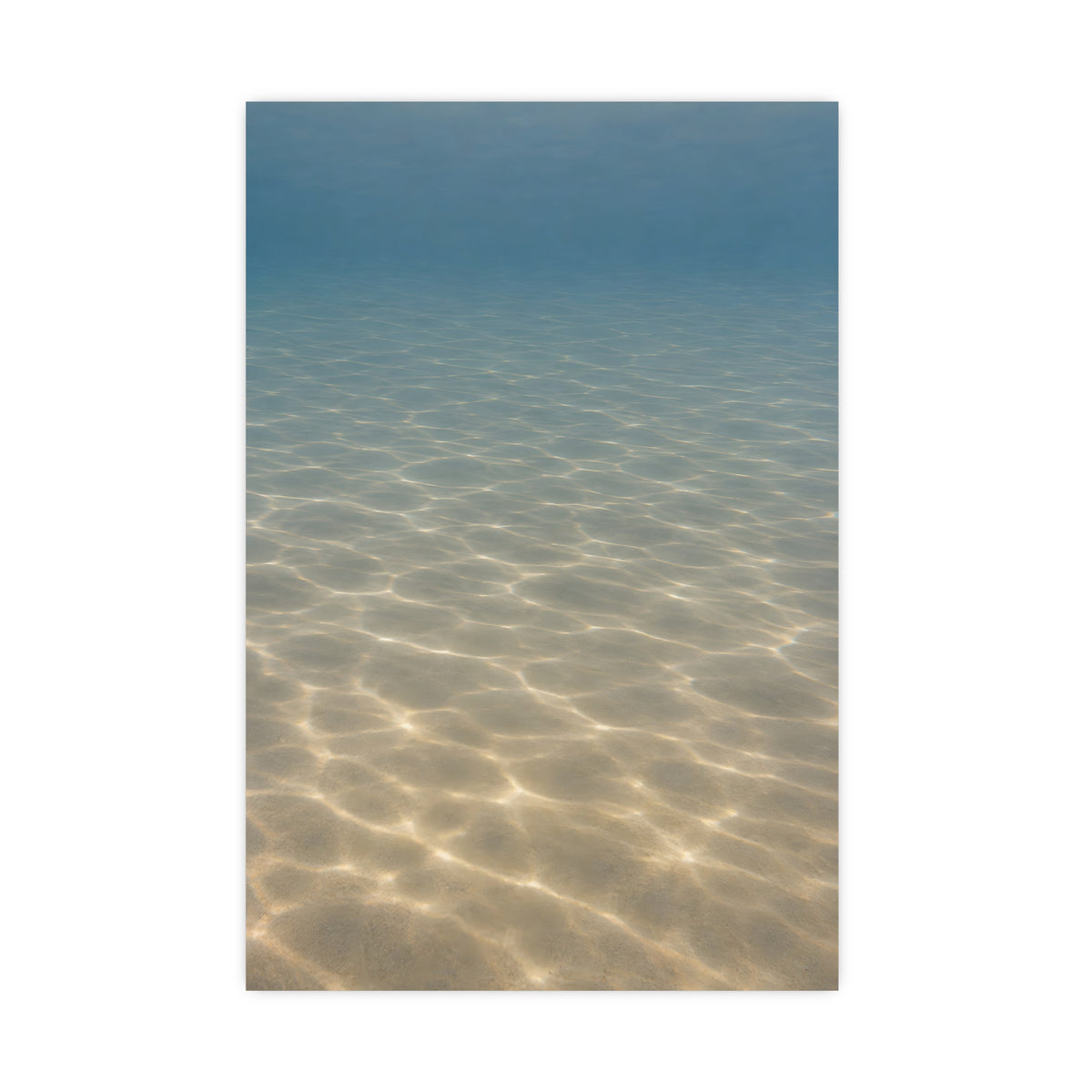 Light on the Bottom — light on the bottom, 16x24 in print