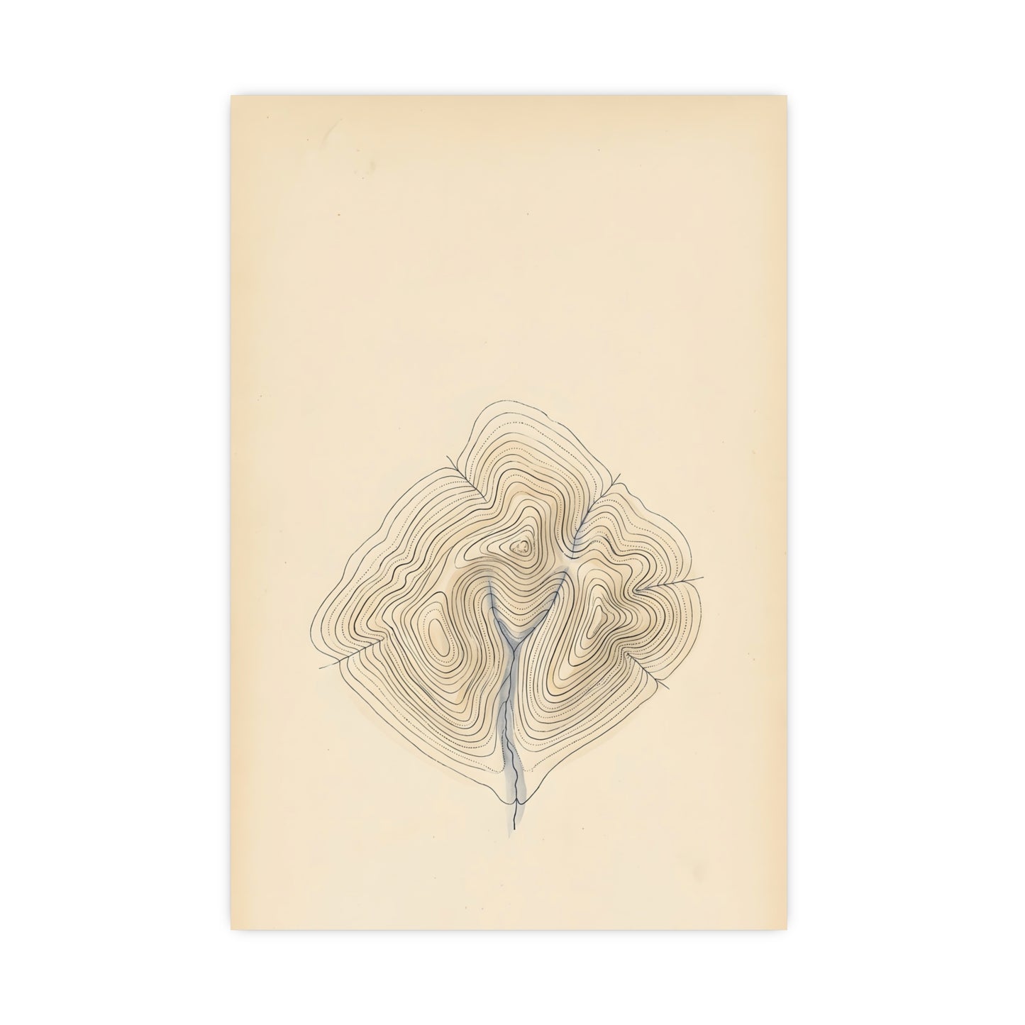 Contour Lines — contour lines, 18x24 in print