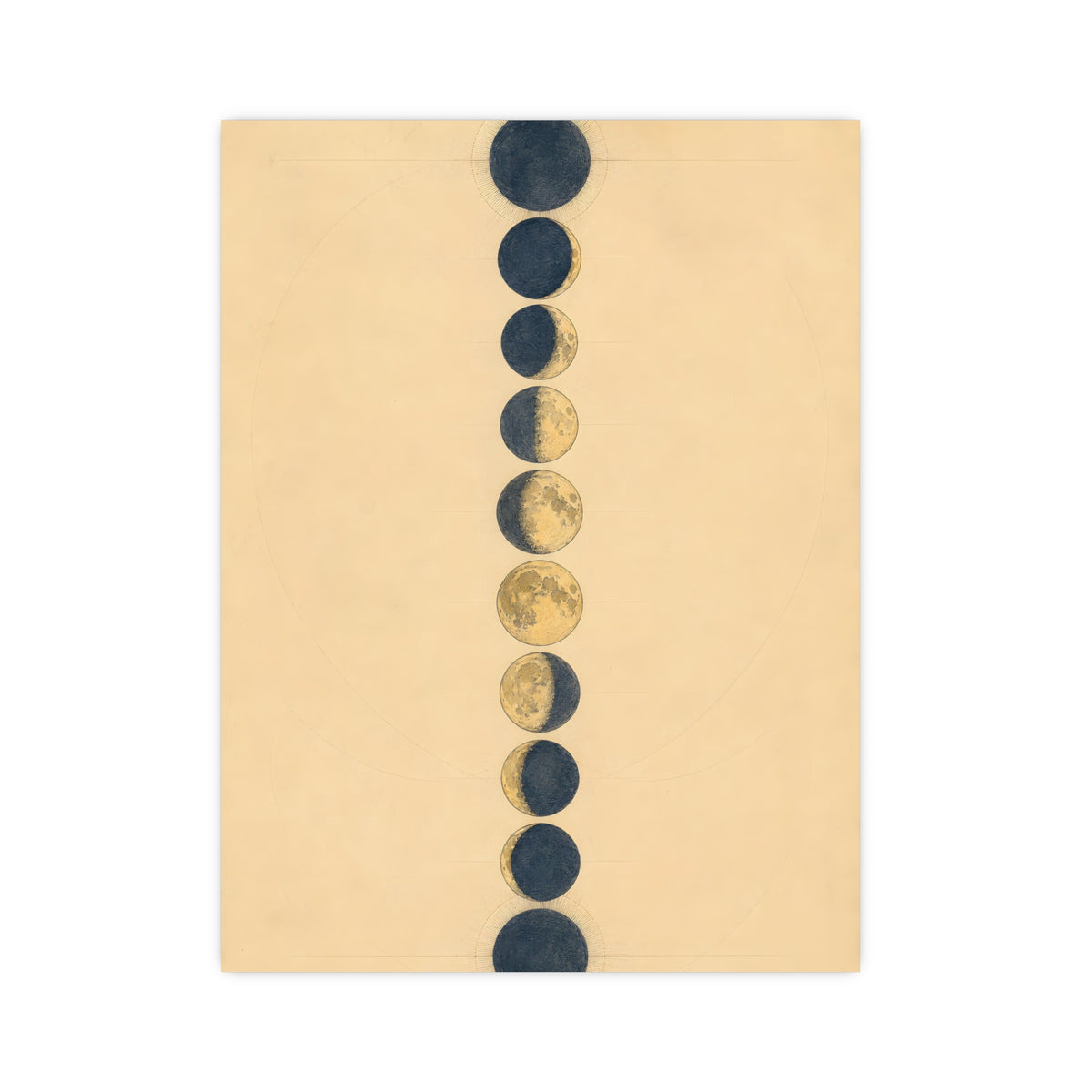 Phases of the Moon — phases of the moon, 12x16 in print