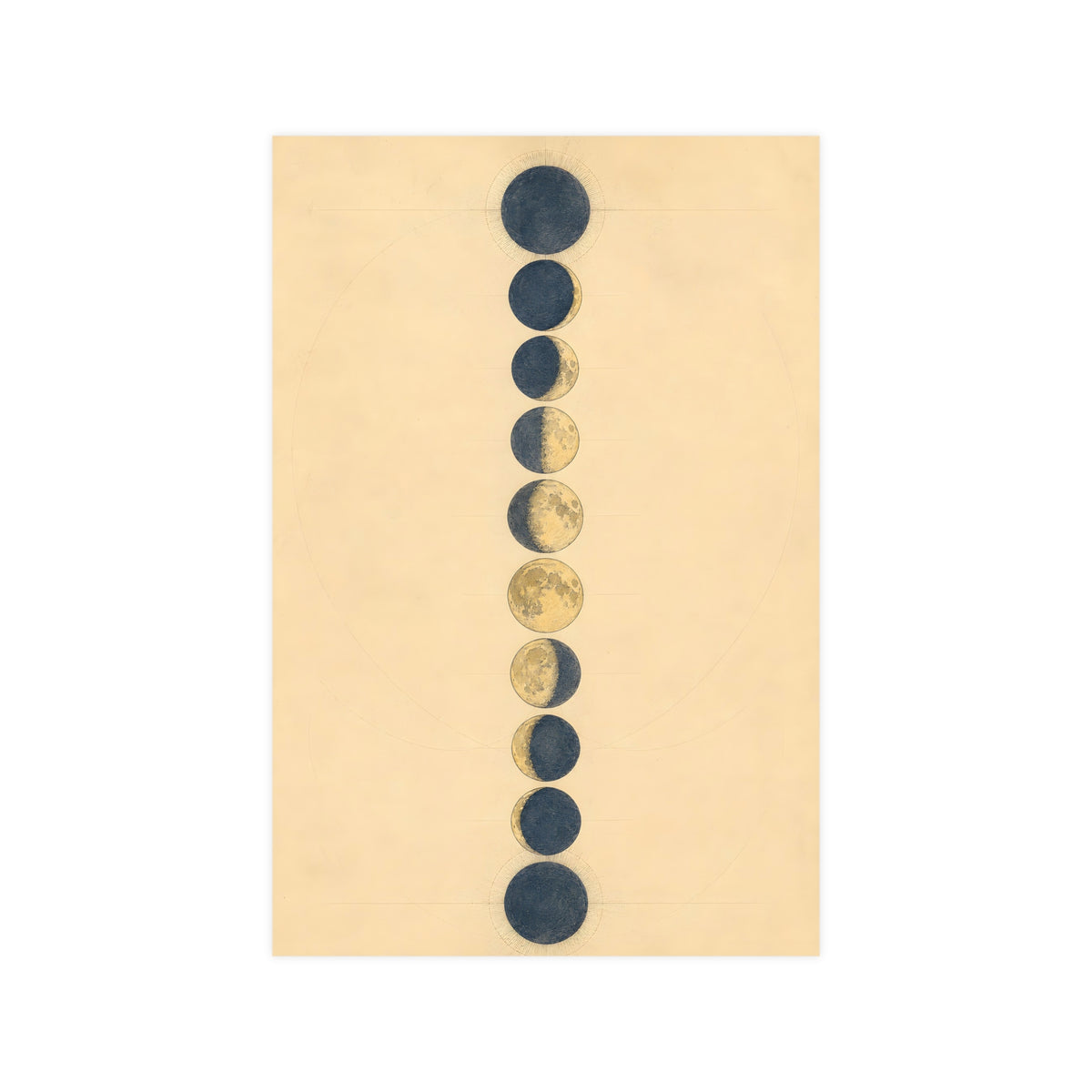 Phases of the Moon — phases of the moon, 12x18 in print