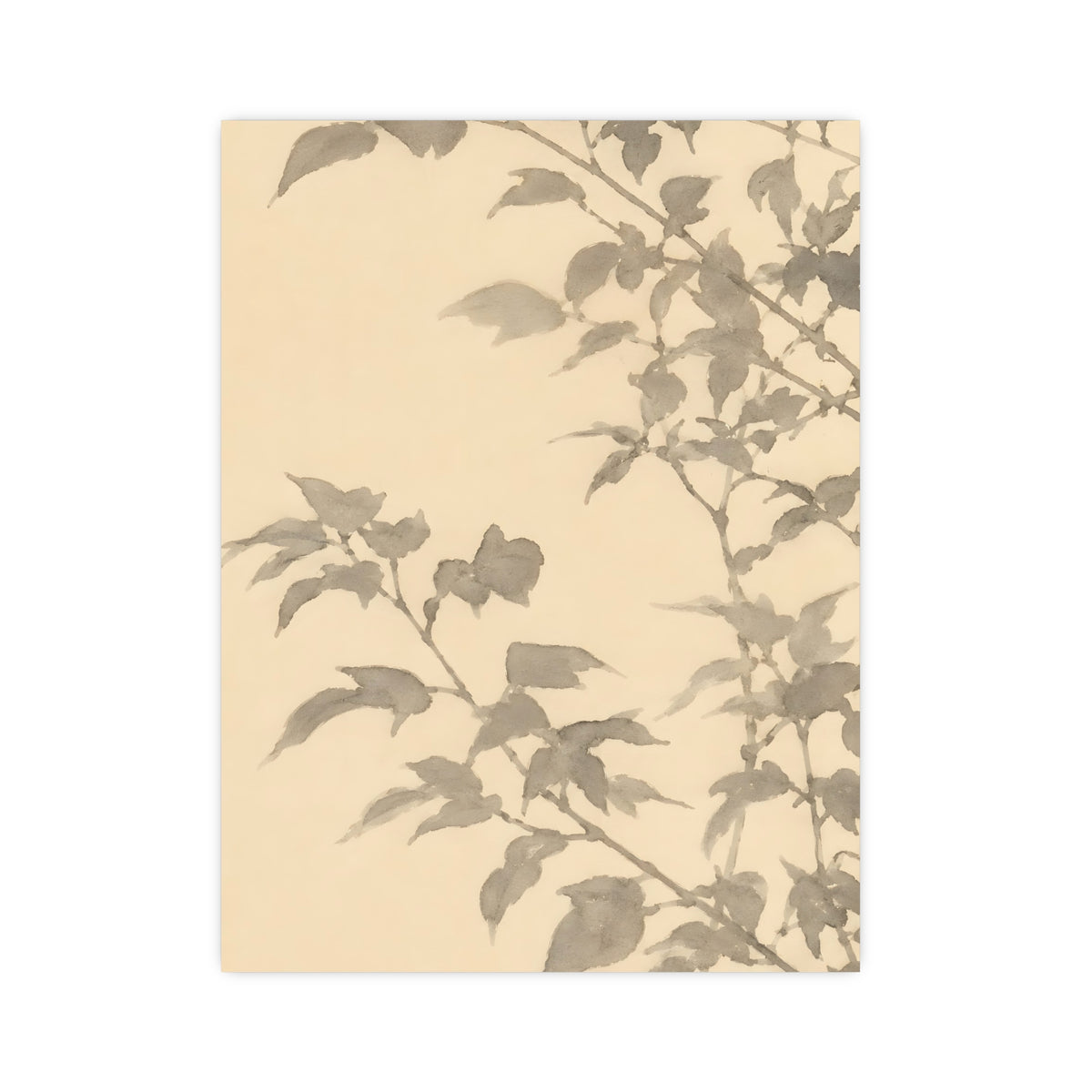 Leaf Shadow — leaf shadow, 12x16 in print