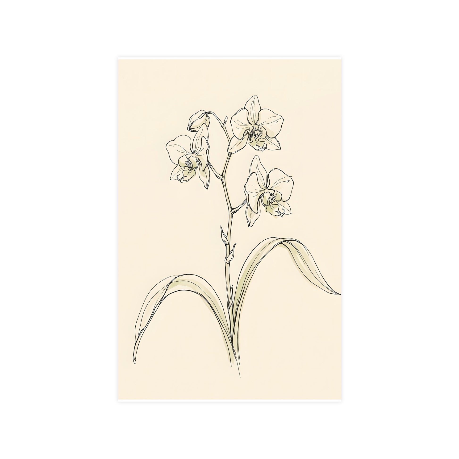 Orchid — orchid, 11x17 in print