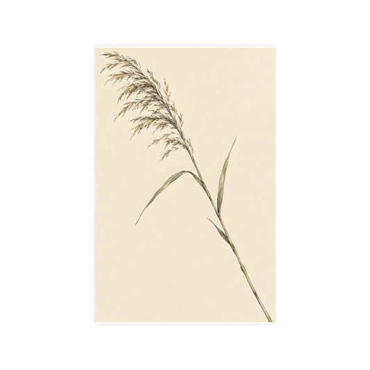 Reed, Corner to Corner — reed, corner to corner, 11x17 in print