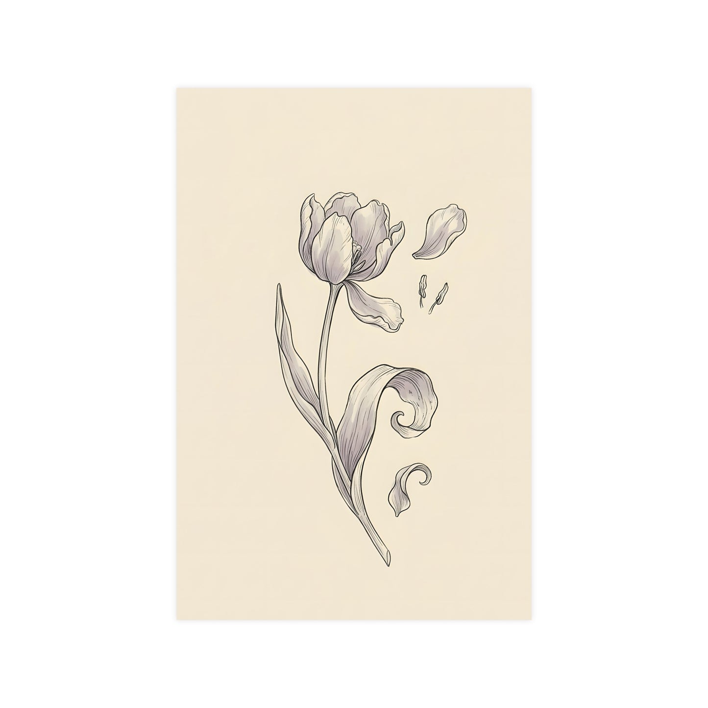 Tulip, Just Past — tulip, just past, 12x16 in print